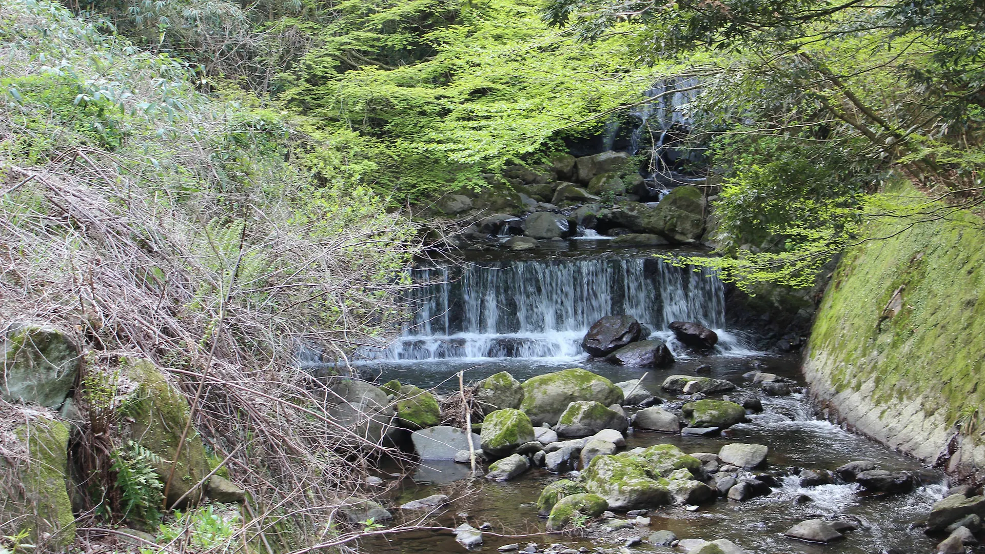 Hakone Guesthouse Toi Gasthof