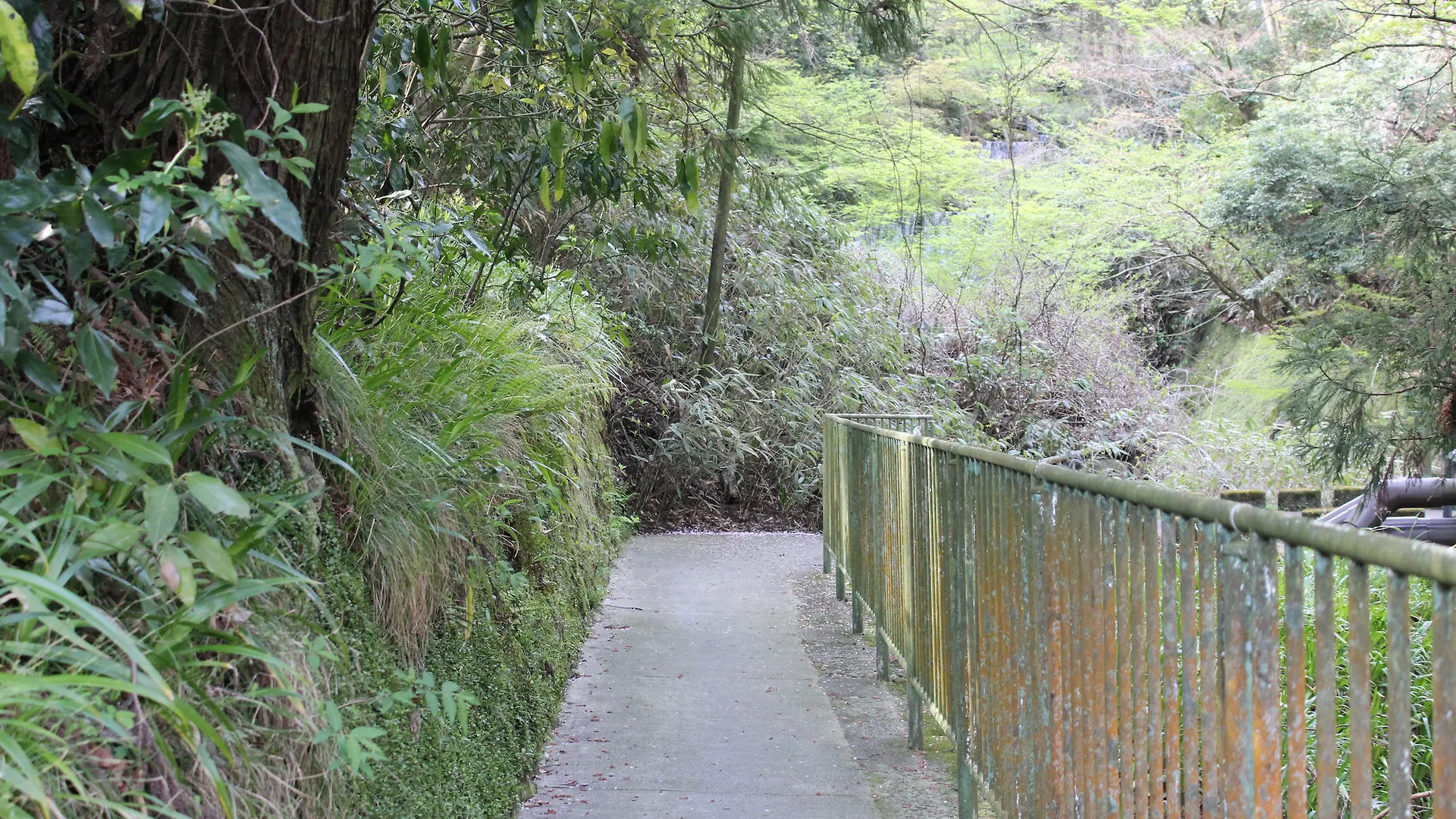 Hakone Guesthouse Toi