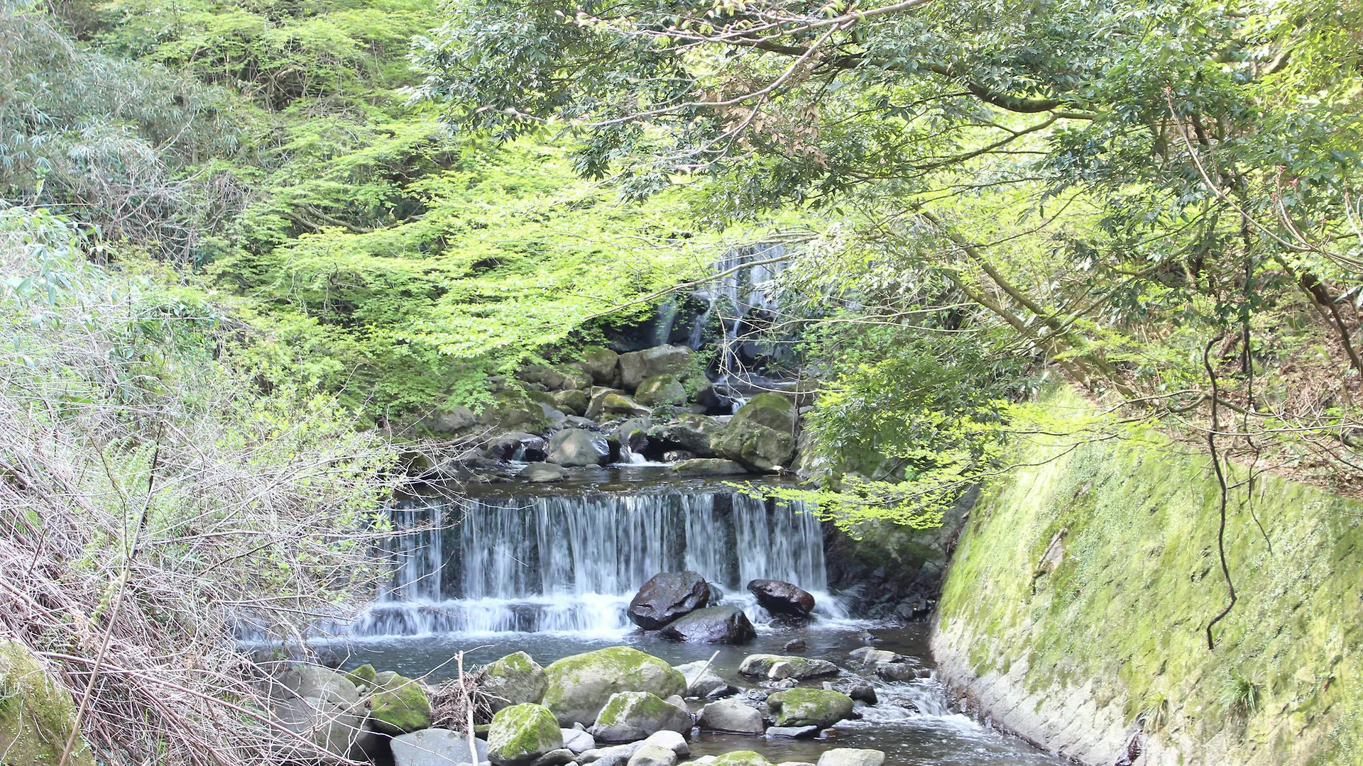 Hakone Guesthouse Toi 0*,  Japan