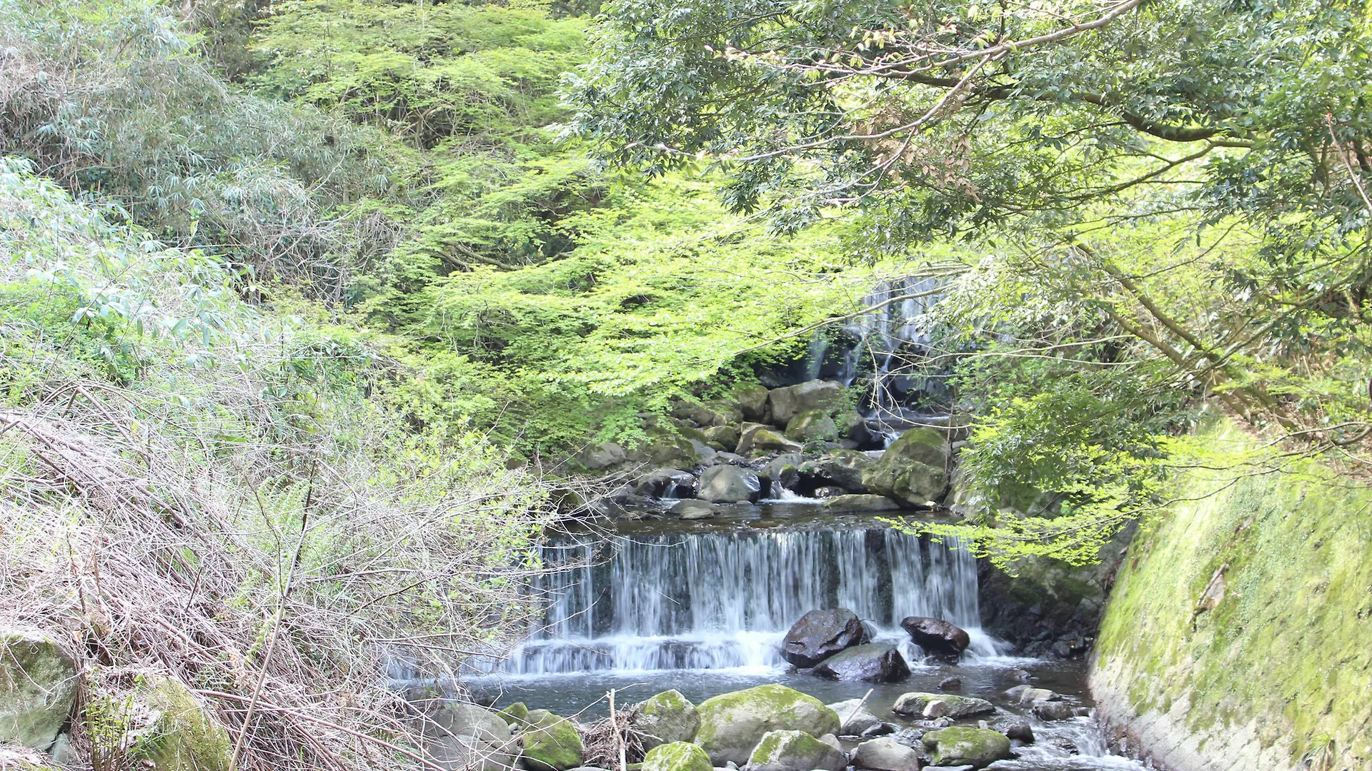 Guest house Hakone Guesthouse Toi